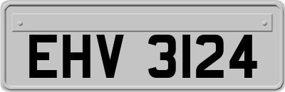EHV3124