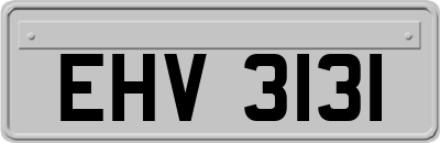 EHV3131