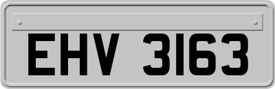 EHV3163