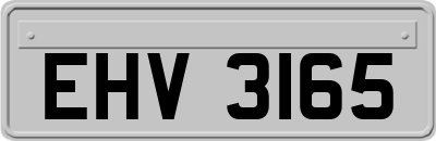 EHV3165