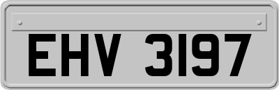 EHV3197