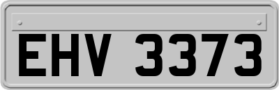 EHV3373