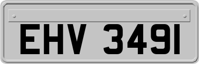 EHV3491