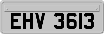 EHV3613