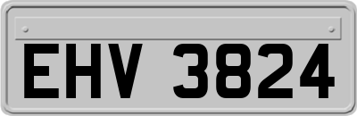 EHV3824