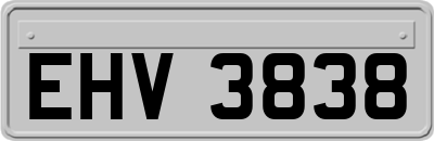 EHV3838