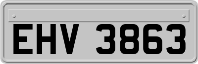 EHV3863