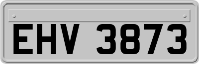 EHV3873