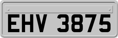 EHV3875