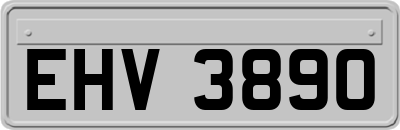 EHV3890