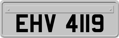 EHV4119