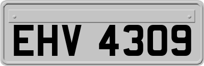 EHV4309