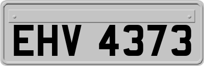 EHV4373
