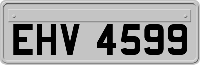 EHV4599