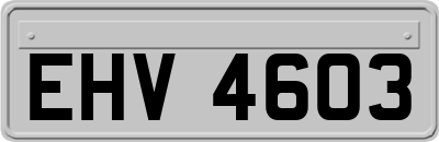 EHV4603