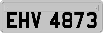EHV4873