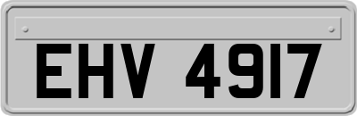 EHV4917