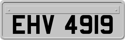 EHV4919