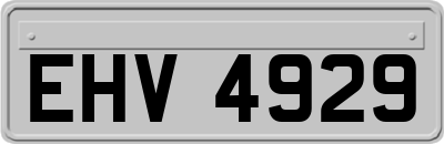 EHV4929