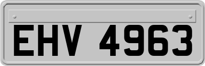 EHV4963