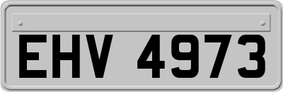 EHV4973