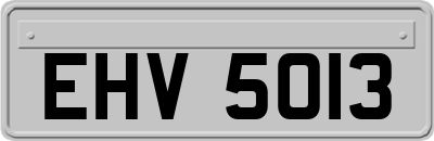 EHV5013