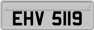 EHV5119