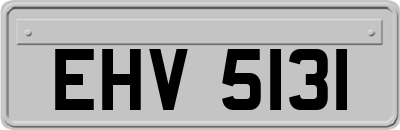 EHV5131