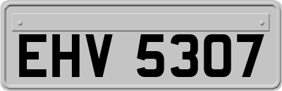 EHV5307