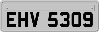 EHV5309
