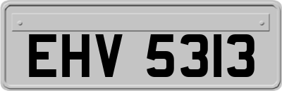 EHV5313