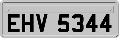 EHV5344
