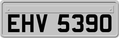 EHV5390