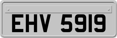 EHV5919