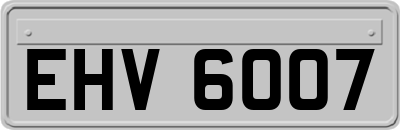 EHV6007