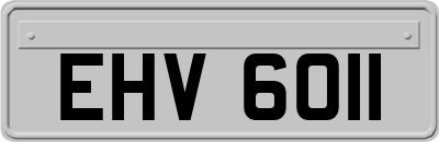 EHV6011