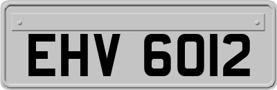 EHV6012
