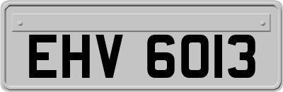 EHV6013