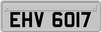 EHV6017