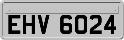 EHV6024
