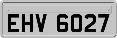 EHV6027