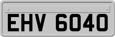 EHV6040