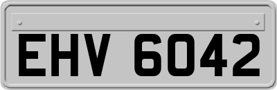 EHV6042
