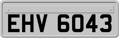 EHV6043