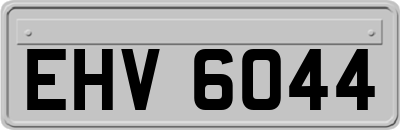 EHV6044