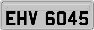 EHV6045