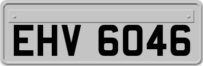 EHV6046