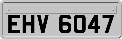 EHV6047