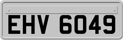EHV6049