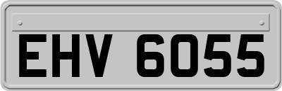 EHV6055